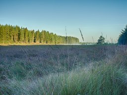 IMGP8394_HDR_Morgenstemning